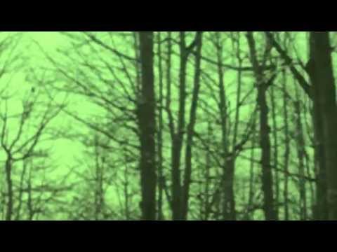 "Freedom" by Anthony Hamilton & Elayna Boynton in "Django Unchained"