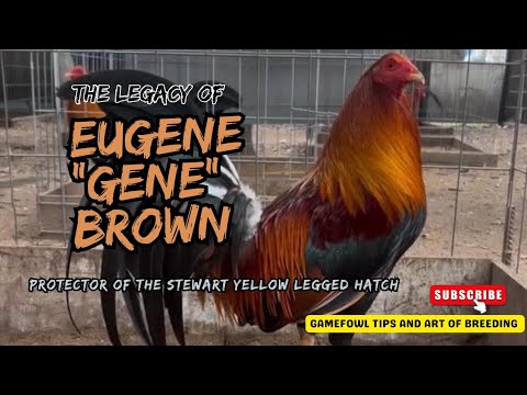 Eugene “Gene” Brown: Protector of the Stewart Yellow Leg Hatch