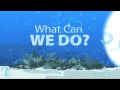 Grenada Adapts NOW Television Advertisement