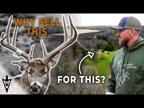 Turning 90 Acres To 145, How and Why Zach Sold Area 52 #hunting #deerhunting