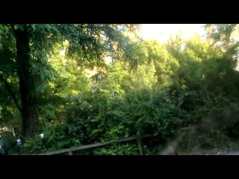 196-os busz Újpest-központ - Beller Imre utca (MHU-719)