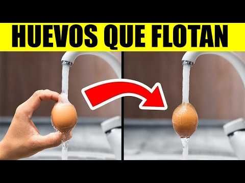 Probando Hacks Virales De Tiktok Para Ver Si Funcionan