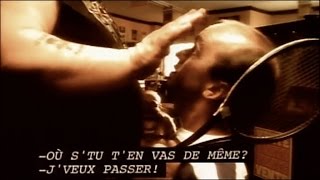 Vilain Pingouin - Miroir Miroir