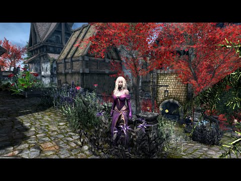 *Organic Skyrim - Cities*  Mod - Solitude Walkthrough  Skyrim SE Xbox One