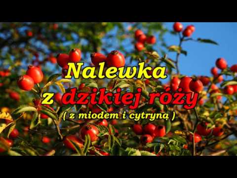 Maska do włosów oparta na żywo henna Krymie Jak stosować olejek z cytryny włosy