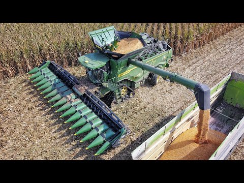 JOHN DEERE X9 1100 + Geringhoff 16 rows | BIG CORN HARVEST IN ITALY
