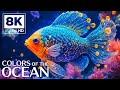 Under Red Sea 8K Incredible Underwater World Tropical Fish Coral Reefs Jellyfish Aquarium