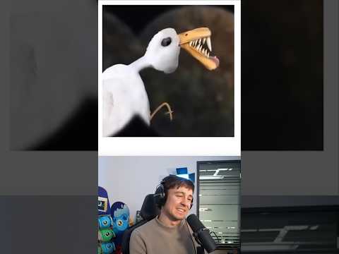 If drawings were real 😂