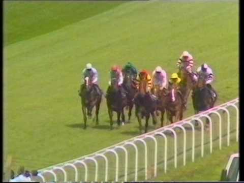 1991 Goodwood House Maiden Stakes