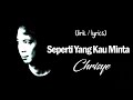 Chrisye Seperti Yang Kau Minta Lyrics Video