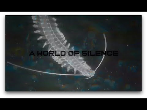 Deemphasis : A World Of Silence EP / UKONX Recordings (teaser 2/2)