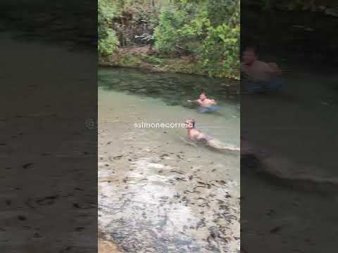 Praia do Puça, localizada em Lavandeira no Tocantins  #viagens #viral #top1 #Tocantins #Jalapão