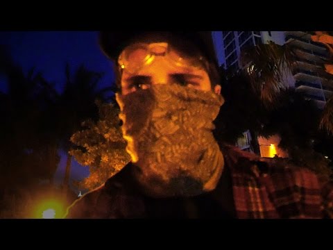 ZIKA! ZIKA! ZIKA! - Naled Invades Miami Beach