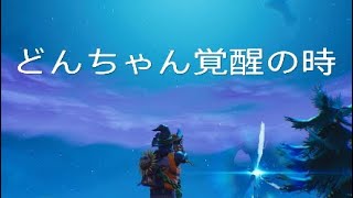 どんちゃん覚醒の時