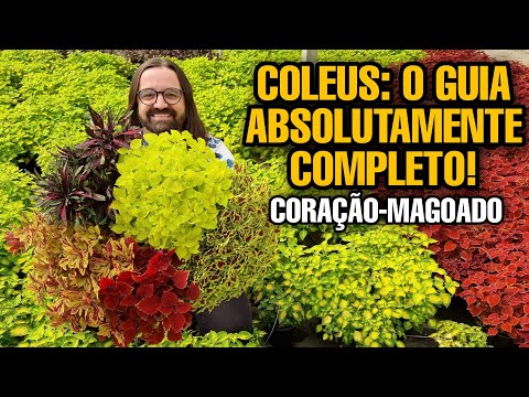 , title : 'AULÃO - Coléus ou Coração-Magoado - Aprenda a Plantar e Cuidar dessas PLANTAS coloridas'