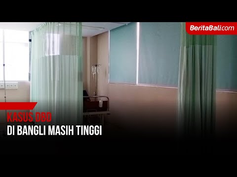 Kasus DBD Di Bangli Masih Tinggi