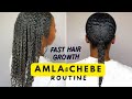 Use WEEKLY For FAST Hair GROWTH Amla Chebe Regimen Week 6 Growth Challenge