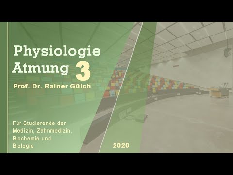 Atmung aus Sicht eines Physiologen 3