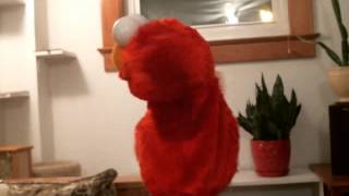 Elmo's Tired of Doing the Goddamned Hokey Pokey