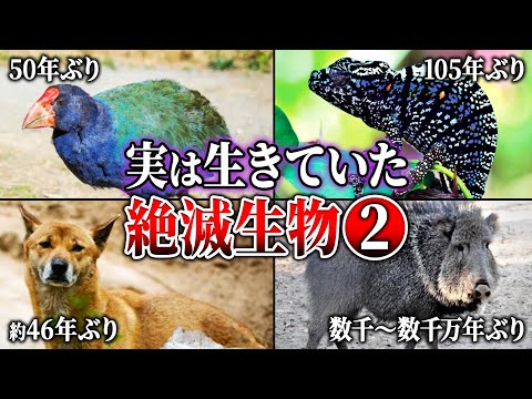 エクアドル ガラパゴス諸島の位置図.svg