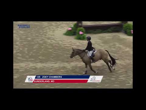 Highlight video 1