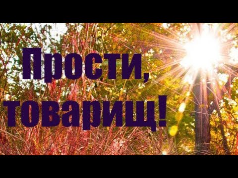 ✔ Прости, товарищ!