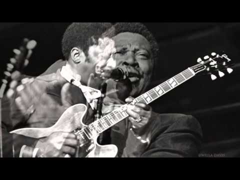 download lagu mp3 mp4 Bb King Cook County, download lagu Bb King Cook County gratis, unduh video klip Bb King Cook County