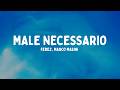 Fedez, Marco Masini - MALE NECESSARIO  (Testo/Lyrics)