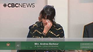 In wake of AI gaffe, N.L. minister decries 'harassment, mental cruelty and disrespect' she's faced