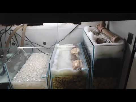 Sump com K1 e Cerâmicas.