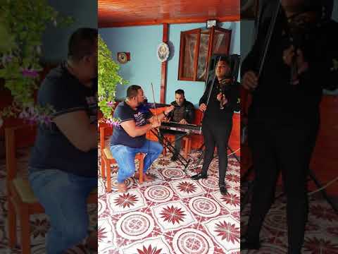 🐒PERCEA MONDIALU-JUCĂRII PENTRU COPII🐵