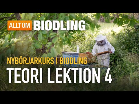 Teori lektion 4/6 - Nybörjarkurs i biodling