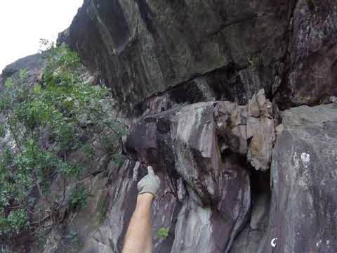 DUE VIE IN ARTIFICIALE (Descrizione generale)