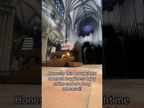 This is Nidaros Cathedral where we recorded Firedove! 2 DAYS TO GO!🕊️ #organ #organtok #pipeorgan