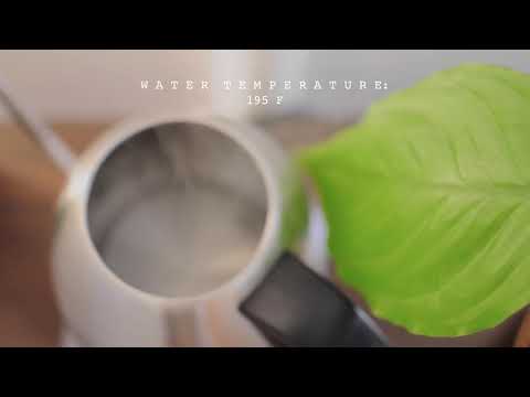 Afternoon Tea: Jade Rouge