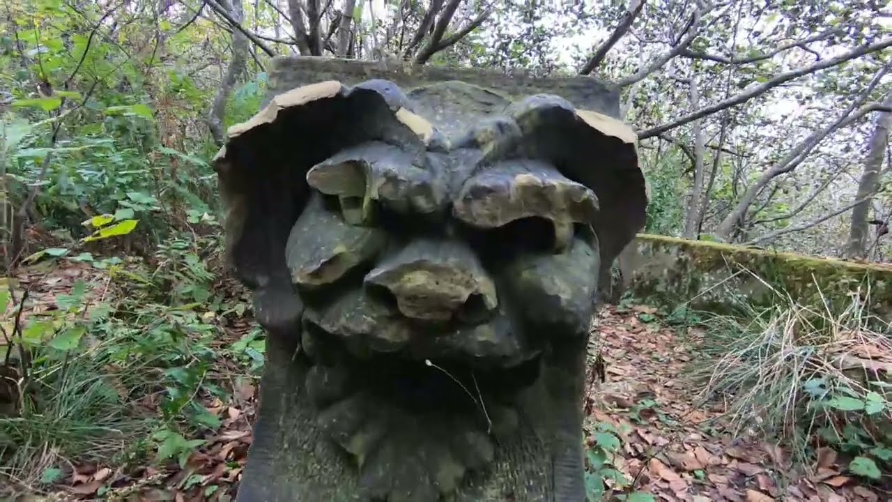 Uncover the Wonders of Sheldon Point Trail