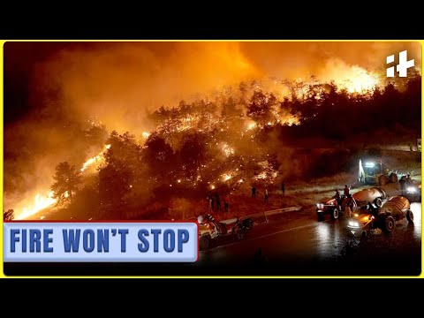 Greece Wildfires Out of Control: Patras, Spain, Portugal and Turkey Burn in Extreme Heat