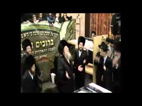 עוזר דלים 2 - מודז'יץ