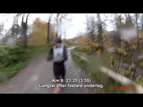 Karlslundsloppet 2012 - 10 km (Löparperspektiv, kort)