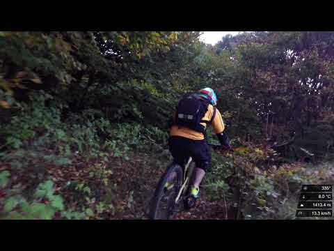 Stol 12 ottobre 2019