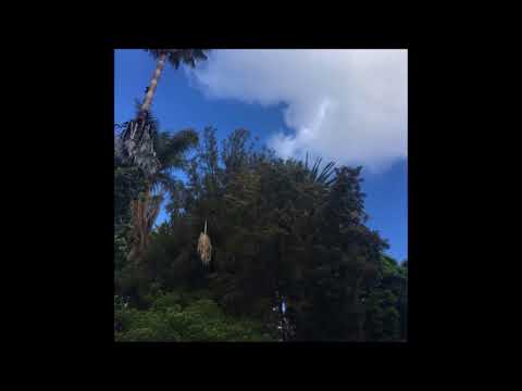 18. Smitty The BG - tables turn (ft. Cat Soup)