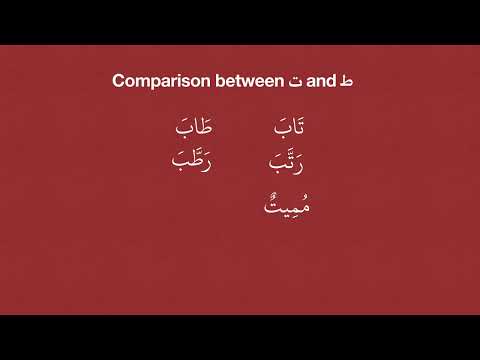 23. Comparison between The Letter Taa ت and The Letter Ťaa ط - Speaking Practice #arabic #basic