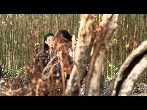 Anh thương cô út đưa đò - Lưu Ánh Loan