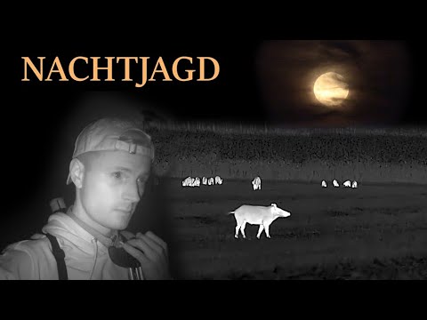 Nachtjagd auf Sauen - Jagdkrone
