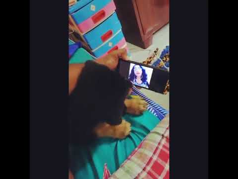 කුමාරි අක්කගෙ සින්දු බල්ලෙක්ටවත් අහන්න බෑ කියන්නෙ ඇත්ත - Kumari Akka