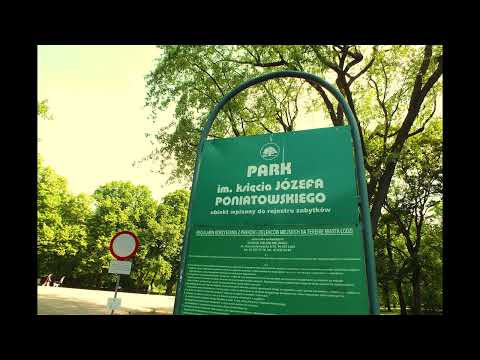 ALMIGHTY SZAMZ "W CLUBIE NIE" 🌳🌳