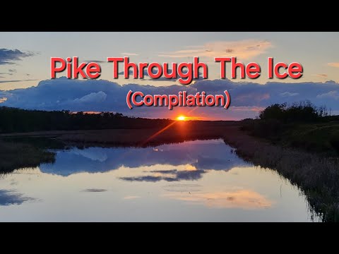 Pike Through The Ice (Compilation)