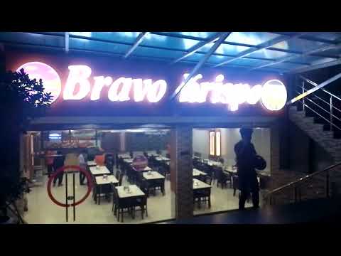 Zahida Abbasi.  Beauty Of. Nature   Cats.  Animal