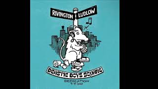 Beastie Boys - Hello Brooklyn ( Demo Ai Vocals )