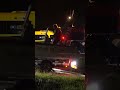 Man vlucht voor meute koeien en belandt in de IJssel